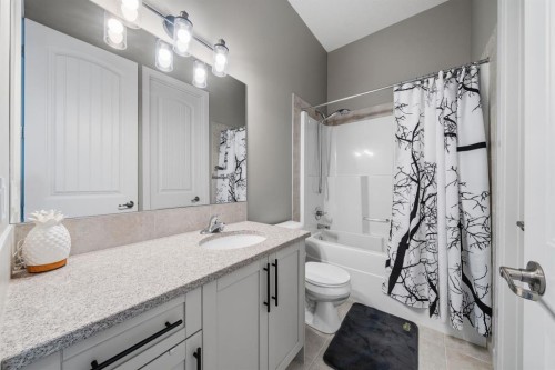 113 Marina Key, Chestermere, AB - Indoor Photo Showing Bathroom