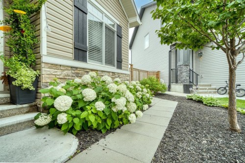 113 Marina Key, Chestermere, AB - Outdoor