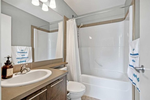 554 Redstone View Ne, Calgary, AB - Indoor Photo Showing Bathroom
