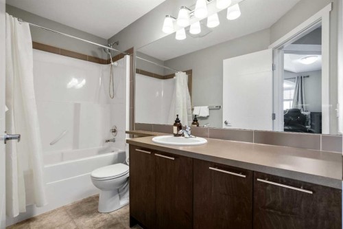 554 Redstone View Ne, Calgary, AB - Indoor Photo Showing Bathroom