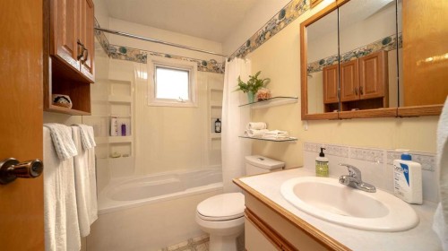 5015 Marchand Crescent Ne, Calgary, AB - Indoor Photo Showing Bathroom