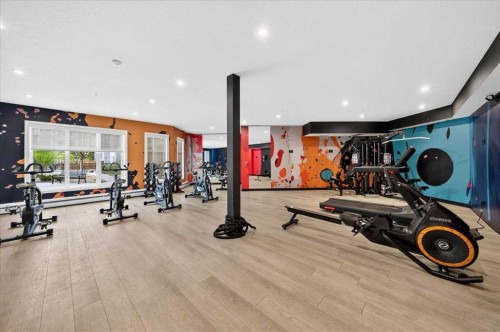 2112-681 Savanna Boulevard Ne, Calgary, AB - Indoor Photo Showing Gym Room