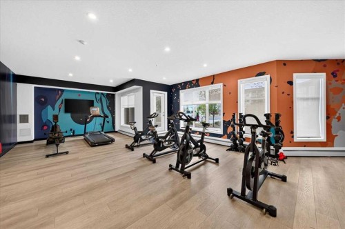 2112-681 Savanna Boulevard Ne, Calgary, AB - Indoor Photo Showing Gym Room