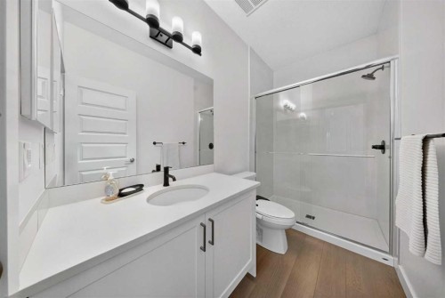 105 Homestead Crescent Ne, Calgary, AB - Indoor Photo Showing Bathroom