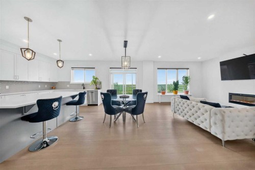105 Homestead Crescent Ne, Calgary, AB - Indoor With Fireplace