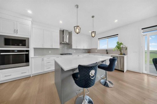 105 Homestead Crescent Ne, Calgary, AB - Indoor Photo Showing Kitchen With Upgraded Kitchen