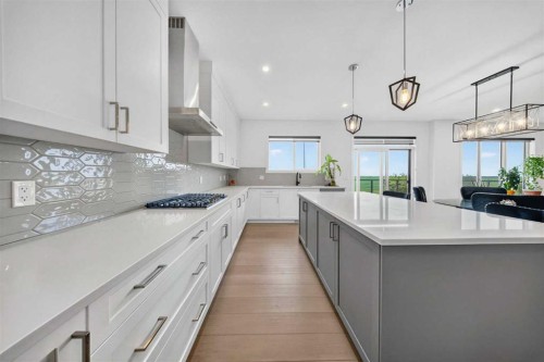 105 Homestead Crescent Ne, Calgary, AB - Indoor Photo Showing Kitchen With Upgraded Kitchen