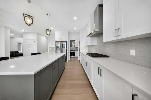 105 Homestead Crescent Ne, Calgary, AB - Indoor Photo Showing Kitchen With Upgraded Kitchen