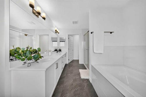 105 Homestead Crescent Ne, Calgary, AB - Indoor Photo Showing Bathroom