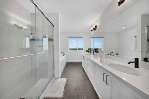 105 Homestead Crescent Ne, Calgary, AB - Indoor Photo Showing Bathroom