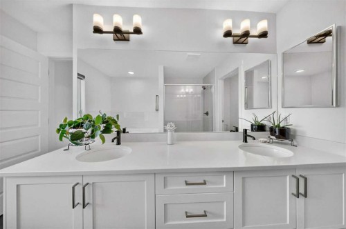 105 Homestead Crescent Ne, Calgary, AB - Indoor Photo Showing Bathroom
