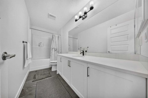105 Homestead Crescent Ne, Calgary, AB - Indoor Photo Showing Bathroom