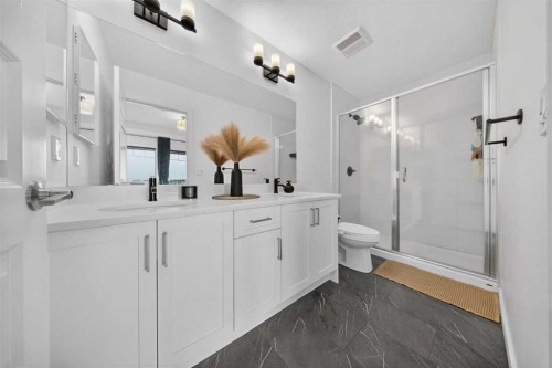 105 Homestead Crescent Ne, Calgary, AB - Indoor Photo Showing Bathroom