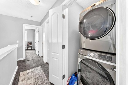 179 Cornerstone Avenue Ne, Calgary, AB - Indoor Photo Showing Laundry Room