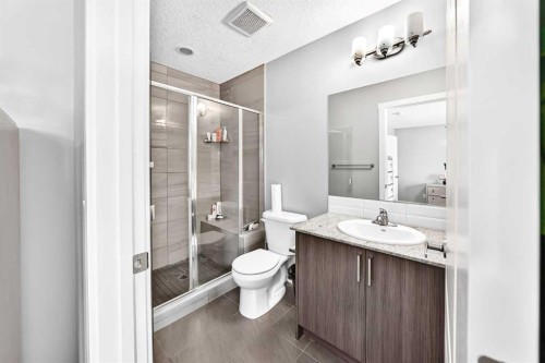 179 Cornerstone Avenue Ne, Calgary, AB - Indoor Photo Showing Bathroom