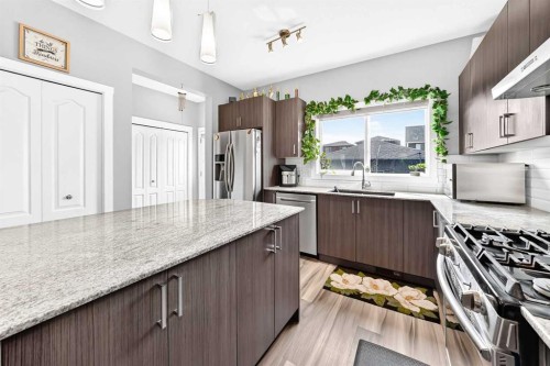 179 Cornerstone Avenue Ne, Calgary, AB - Indoor Photo Showing Kitchen With Upgraded Kitchen