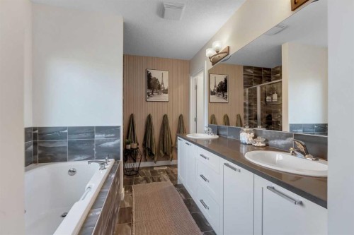 156 Rainbow Falls Heath, Chestermere, AB - Indoor Photo Showing Bathroom