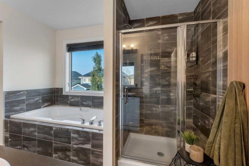 156 Rainbow Falls Heath, Chestermere, AB - Indoor Photo Showing Bathroom