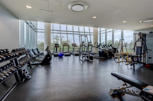 1103-77 Spruce Place Sw, Calgary, AB - Indoor Photo Showing Gym Room