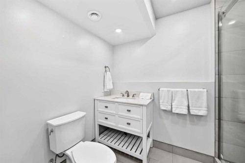 3569 Douglas Woods Heights Se, Calgary, AB - Indoor Photo Showing Bathroom