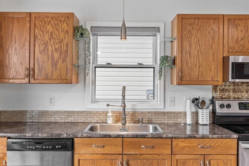 133 Applemead Close Se Close, Calgary, AB - Indoor Photo Showing Kitchen With Double Sink