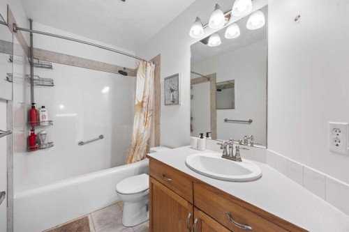 133 Applemead Close Se Close, Calgary, AB - Indoor Photo Showing Bathroom