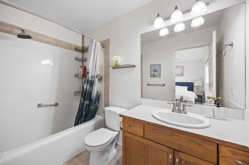 133 Applemead Close Se Close, Calgary, AB - Indoor Photo Showing Bathroom