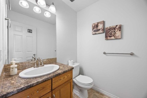 133 Applemead Close Se Close, Calgary, AB - Indoor Photo Showing Bathroom