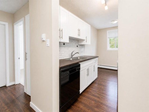202-10305 116 Street Nw, Edmonton, AB - Indoor Photo Showing Kitchen With Double Sink