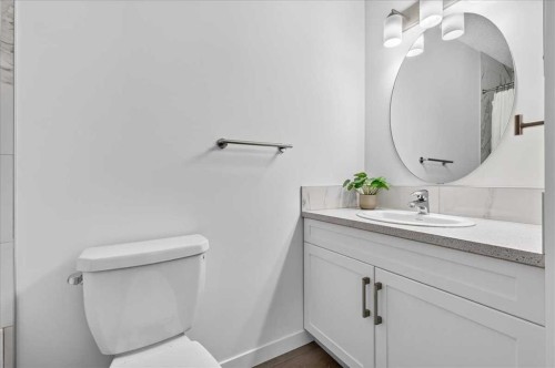 134 New Brighton Landing Se, Calgary, AB - Indoor Photo Showing Bathroom