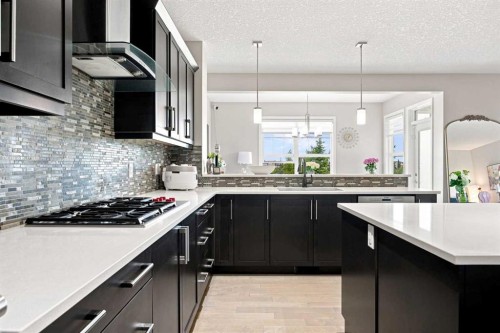 12 Masters Court Se, Calgary, AB - Indoor Photo Showing Kitchen With Double Sink With Upgraded Kitchen
