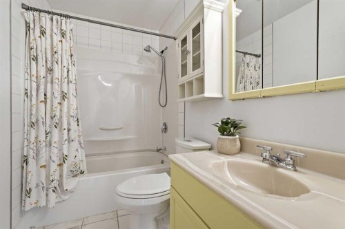 301 3Rd Street West, Standard, AB - Indoor Photo Showing Bathroom