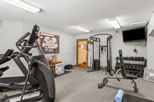 401-160 Kananaskis Way, Canmore, AB - Indoor Photo Showing Gym Room