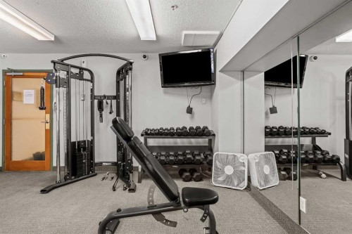 401-160 Kananaskis Way, Canmore, AB - Indoor Photo Showing Gym Room