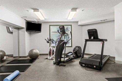 401-160 Kananaskis Way, Canmore, AB - Indoor Photo Showing Gym Room