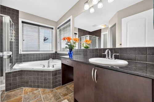 377 Panora Way Nw, Calgary, AB - Indoor Photo Showing Bathroom