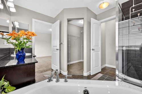 377 Panora Way Nw, Calgary, AB - Indoor Photo Showing Bathroom