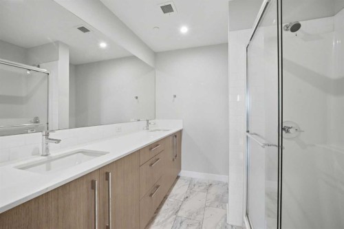2303-60 Skyview Ranch Road Ne, Calgary, AB - Indoor Photo Showing Bathroom