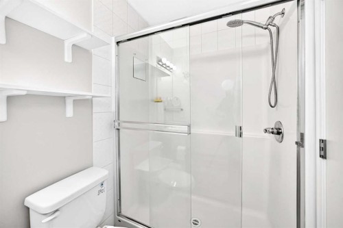4101-4641 128 Avenue Ne, Calgary, AB - Indoor Photo Showing Bathroom