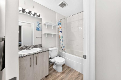 4101-4641 128 Avenue Ne, Calgary, AB - Indoor Photo Showing Bathroom