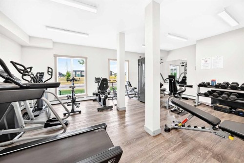 4101-4641 128 Avenue Ne, Calgary, AB - Indoor Photo Showing Gym Room