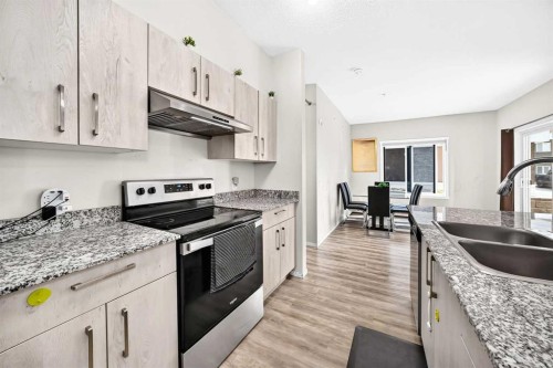 4101-4641 128 Avenue Ne, Calgary, AB - Indoor Photo Showing Kitchen With Stainless Steel Kitchen With Double Sink With Upgraded Kitchen