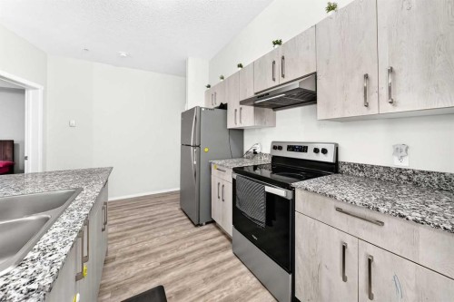 4101-4641 128 Avenue Ne, Calgary, AB - Indoor Photo Showing Kitchen With Stainless Steel Kitchen With Double Sink With Upgraded Kitchen