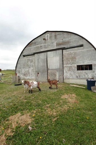 34072 Range Road 53, Rural Mountain View County, AB - Outdoor
