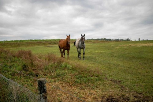 34072 Range Road 53, Rural Mountain View County, AB - Outdoor With View