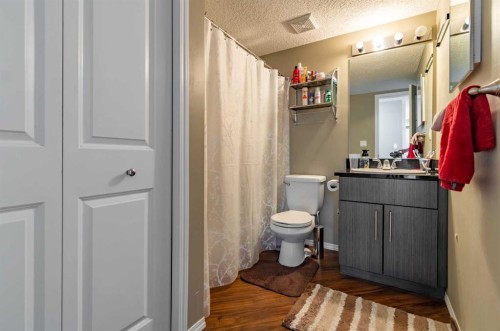 1108-5 Saddlestone Way Ne, Calgary, AB - Indoor Photo Showing Bathroom