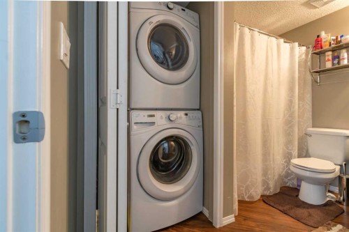 1108-5 Saddlestone Way Ne, Calgary, AB - Indoor Photo Showing Laundry Room