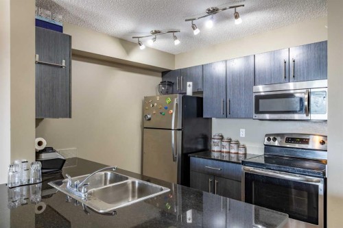 1108-5 Saddlestone Way Ne, Calgary, AB - Indoor Photo Showing Kitchen With Double Sink