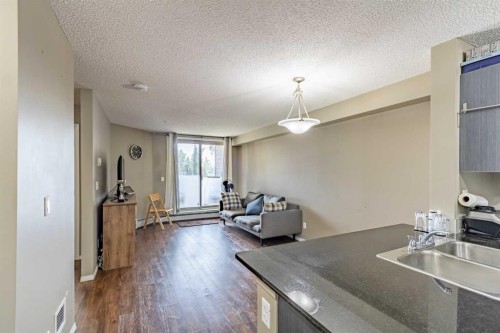1108-5 Saddlestone Way Ne, Calgary, AB - Indoor Photo Showing Kitchen With Double Sink