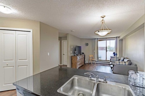 1108-5 Saddlestone Way Ne, Calgary, AB - Indoor Photo Showing Kitchen With Double Sink